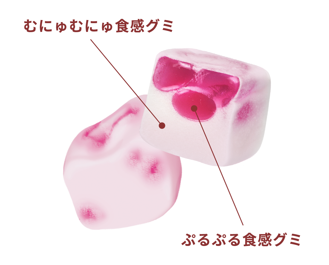 むにゅむにゅ食感グミ ぷるぷる食感グミ